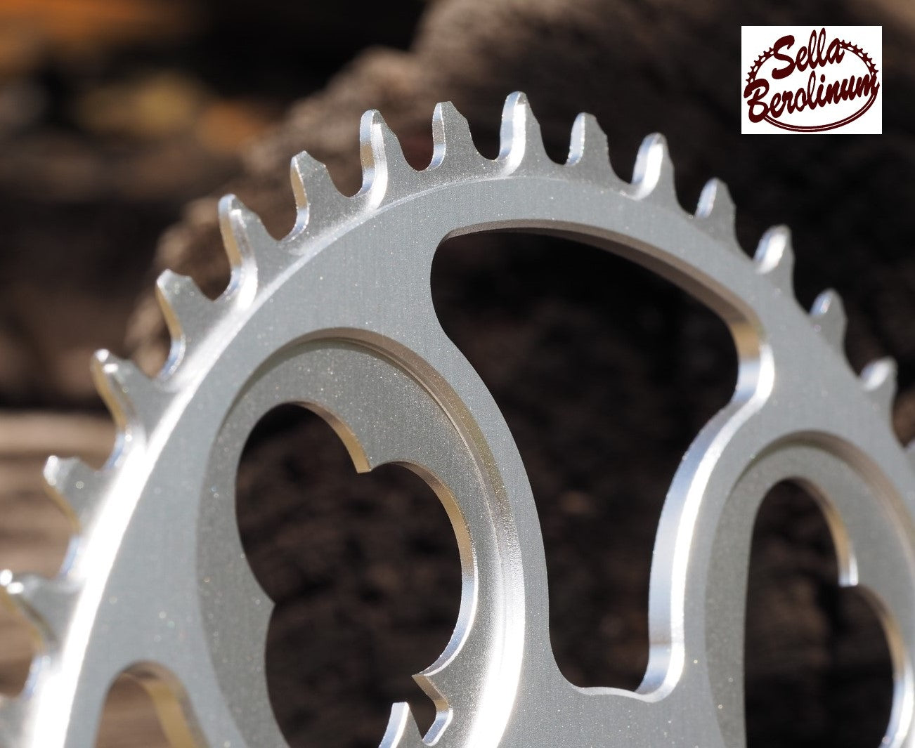 46 oder 48 Z "Flush Royal" Kettenblatt Silber seidenmatt – SRAM 3-Bolt Direct Mount