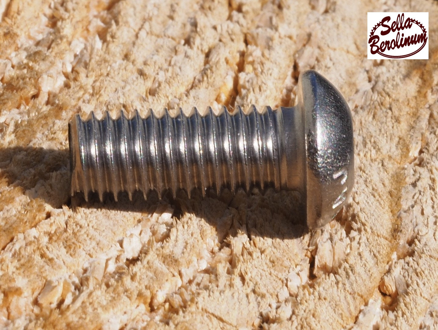 Flachrundschraube mit Innensechskant M8x20 mm A2 Edelstahl