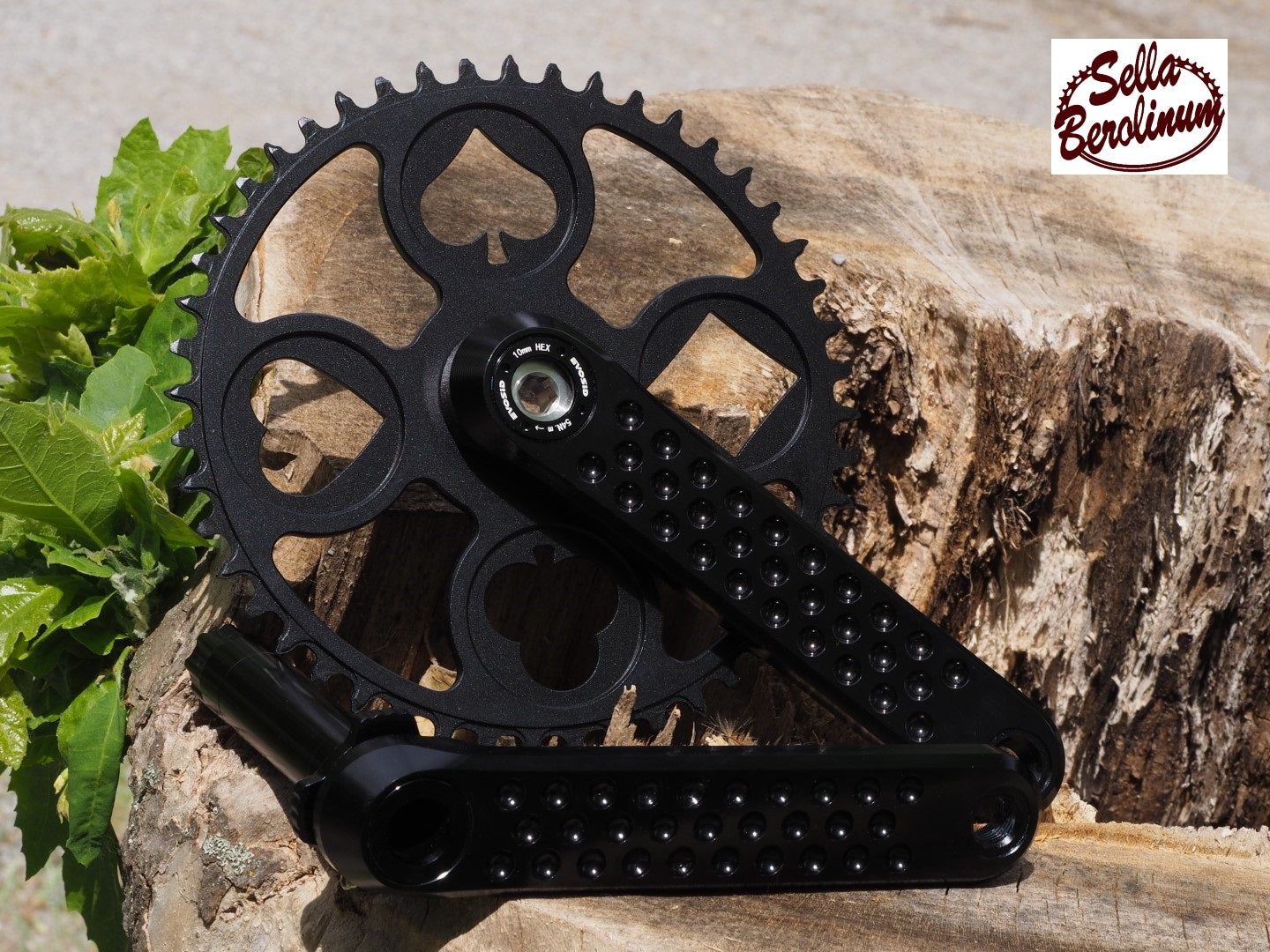 Flush Royal Kettenblatt Schwarz matt mit 46 oder 48 Zähnen für SRAM 3-Bolt Direct Mount montiert als Beispiel