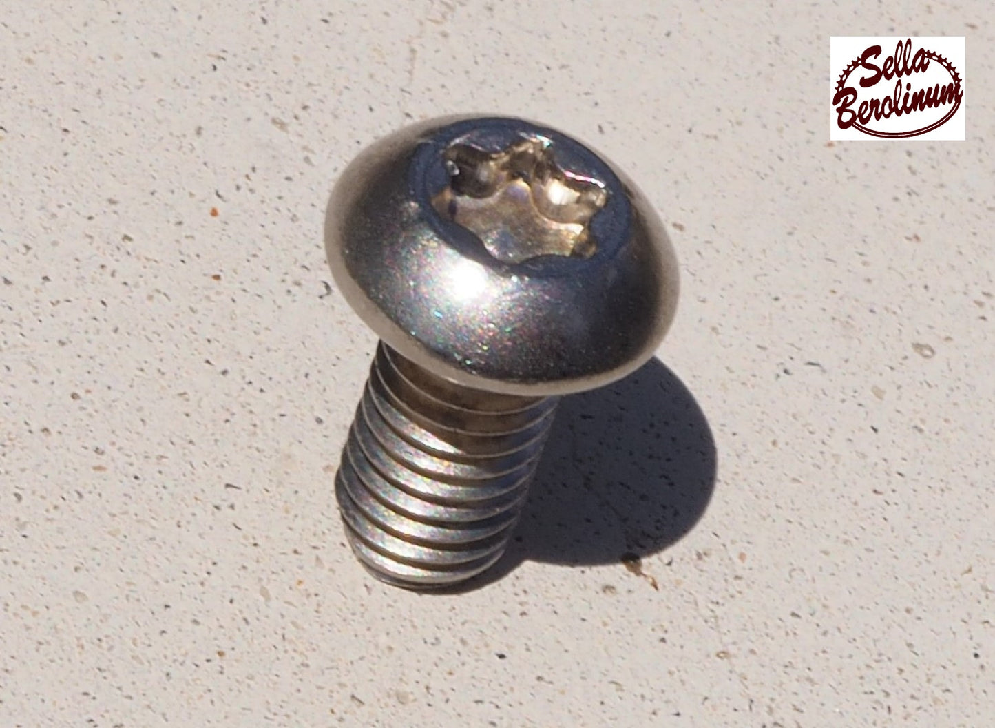 Flachrundschraube mit TX - M5x10 mm A2 Edelstahl-10 Stück
