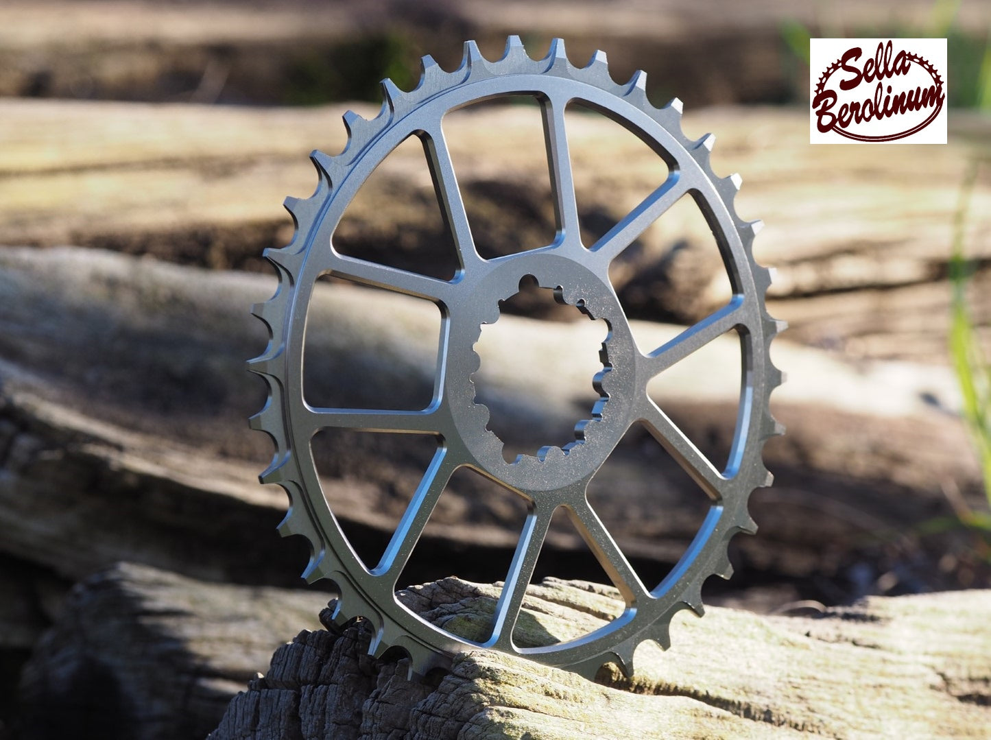 Titanfarbenes 38Z Direct-Mount-Kettenblatt für SRAM 3-Bolt Kurbel in seitlicher Ansicht