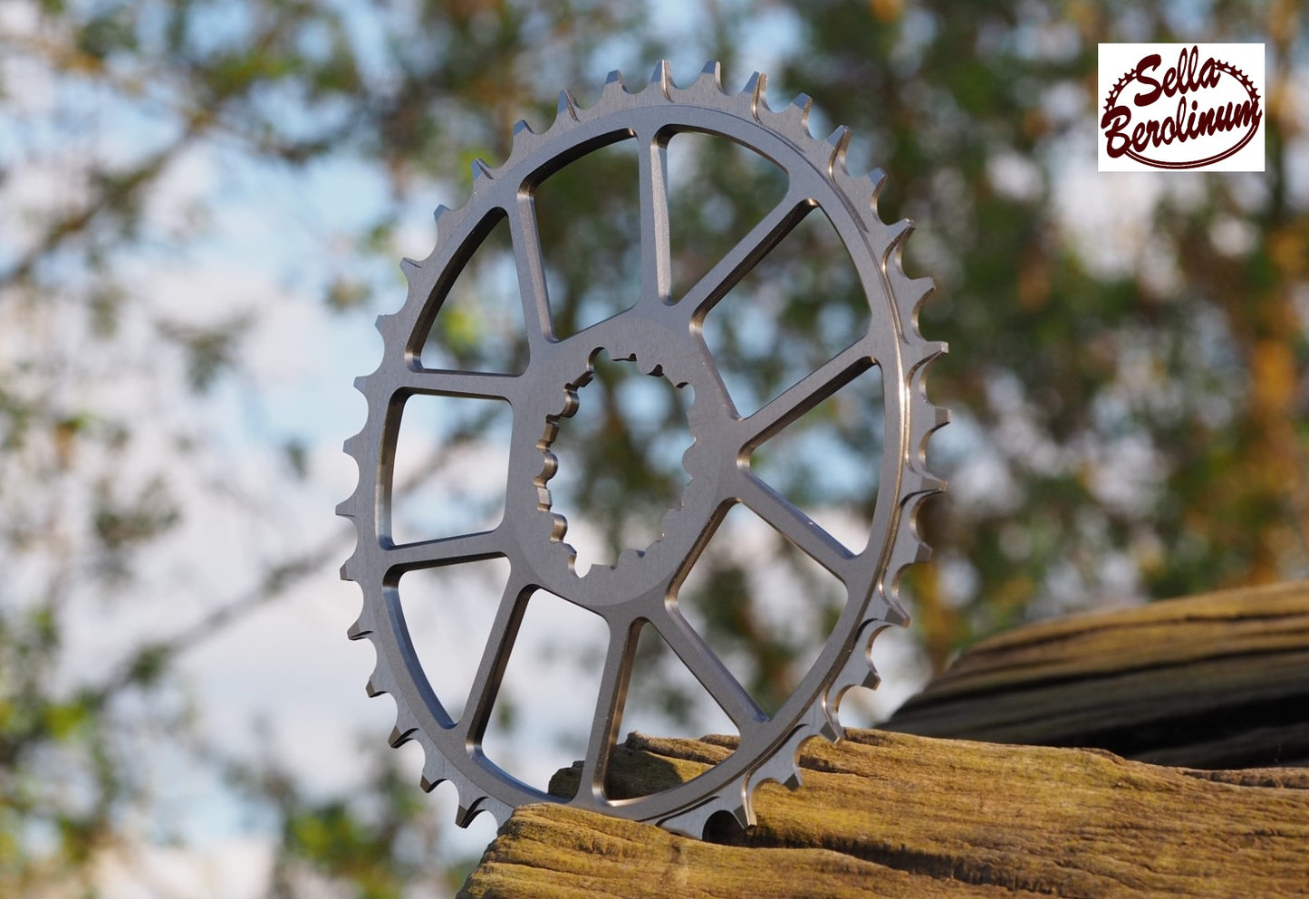 38 Zähne Kettenblatt titanfarben mit SRAM 3-Bolt Direct-Mount-Aufnahme und ausgefräster Konstruktion