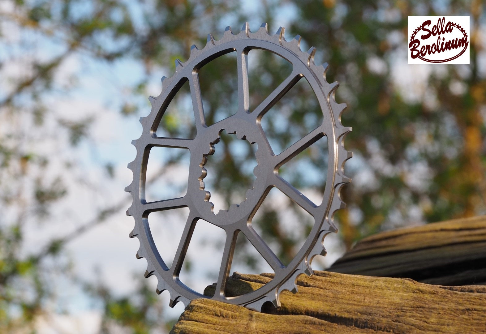 38 Zähne Kettenblatt titanfarben mit SRAM 3-Bolt Direct-Mount-Aufnahme und ausgefräster Konstruktion