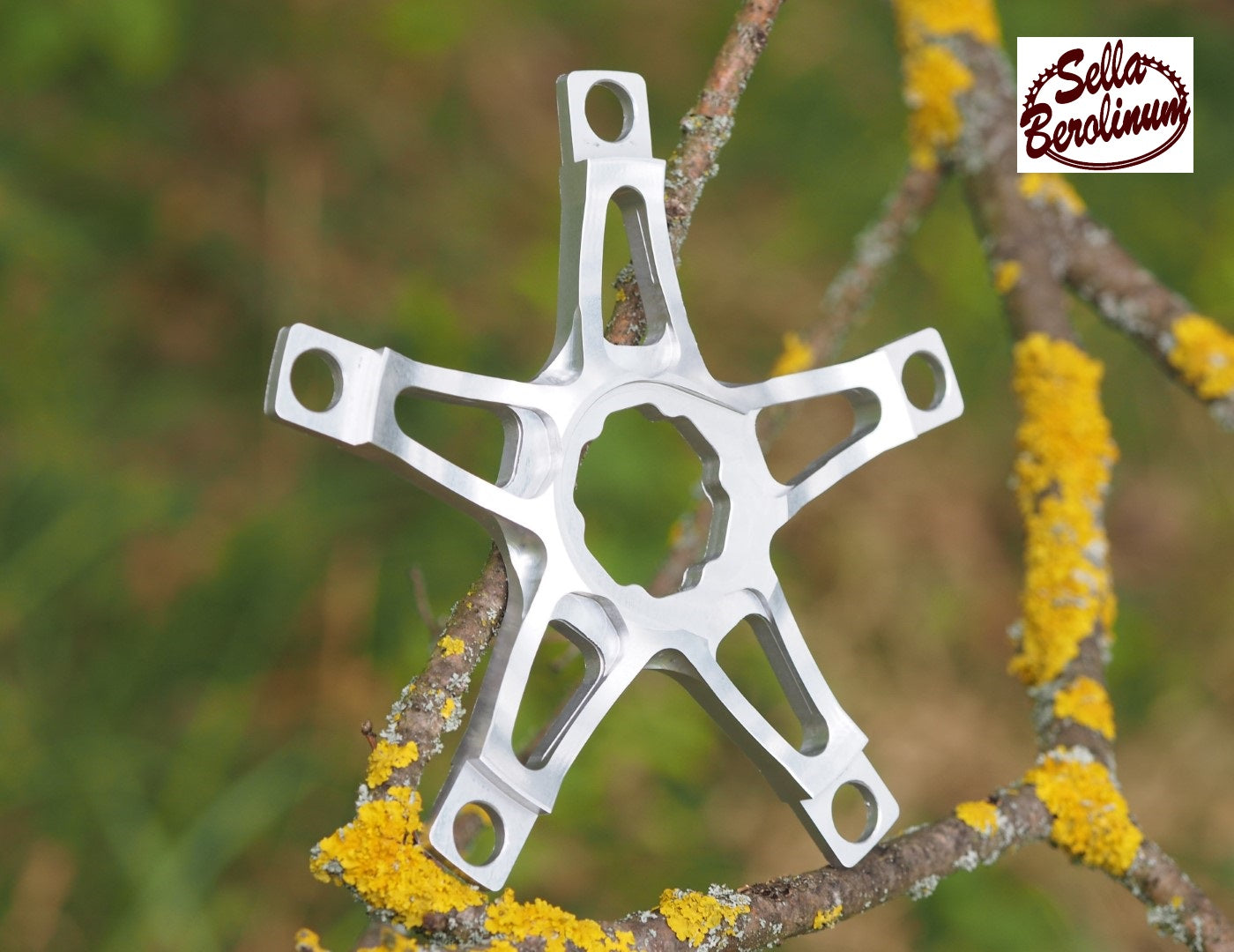 Spécialités TA Carmina Spider 110 mm BCD, 5-Arm und poliert – Produktansicht 1 von 3