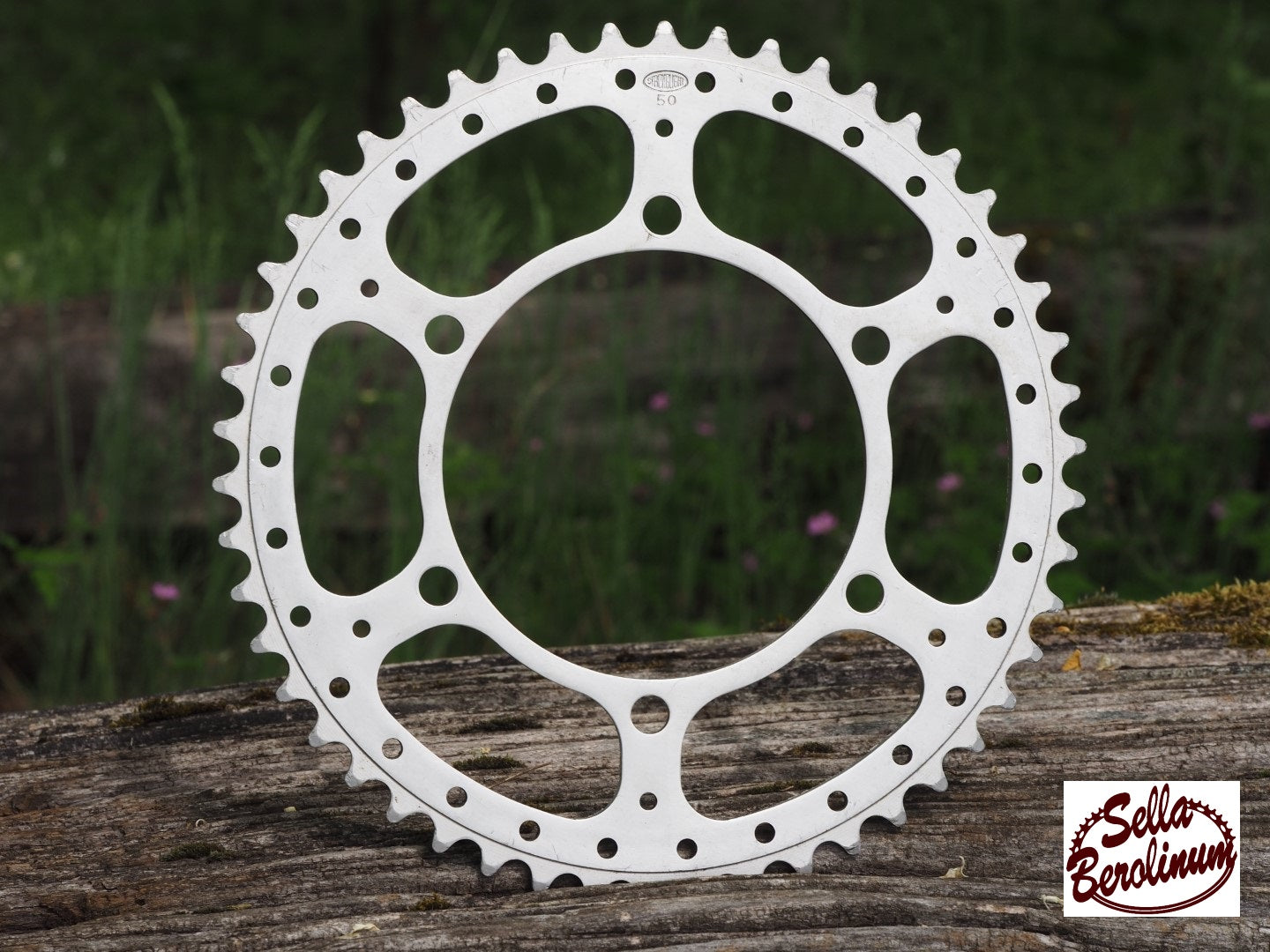 Stronglight "Touring Sport BIS" 50 Z Kettenblatt (gebraucht)
