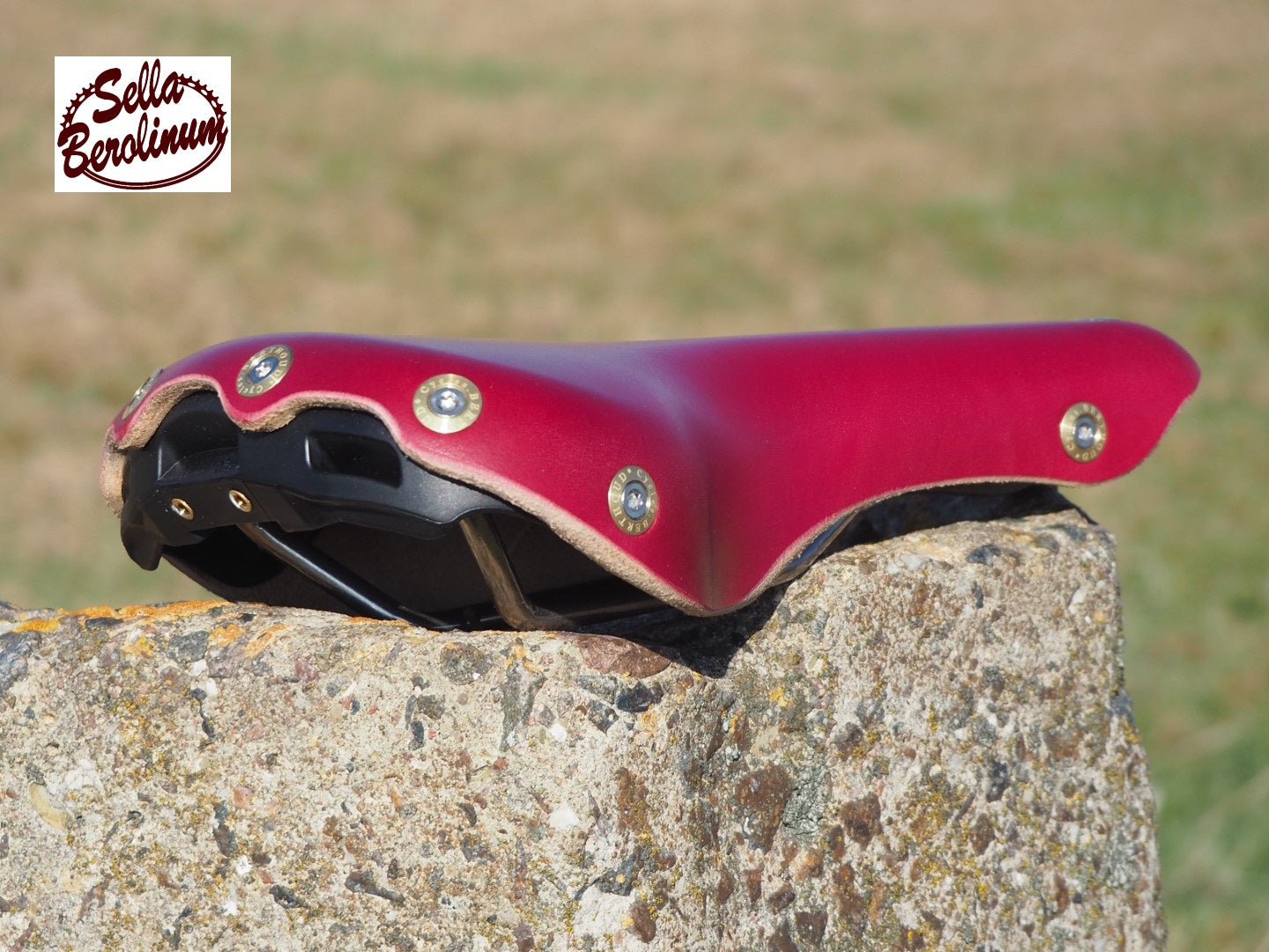 Berthoud Aspin Leder / Edelstahl Touring Sattel"Edition Special Rot"