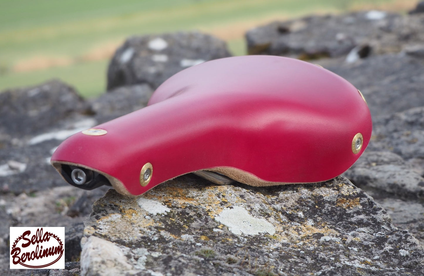 Berthoud Aspin Leder / Edelstahl Touring Sattel"Edition Special Rot"