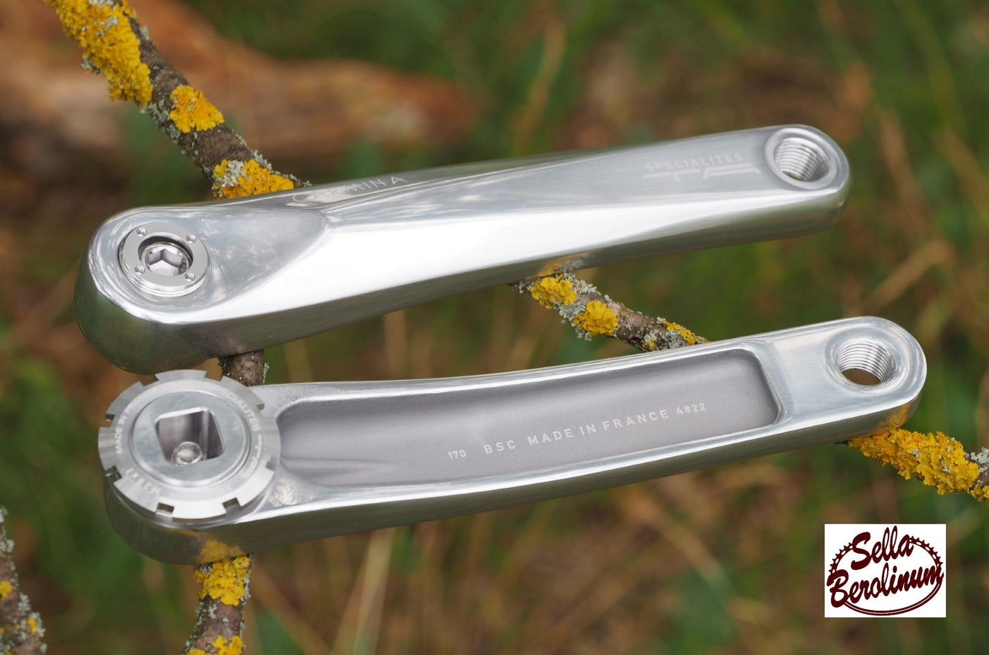 Spécialités TA Carmina Kurbelarme 165–175 mm, poliert – Produktansicht 2 von 4
