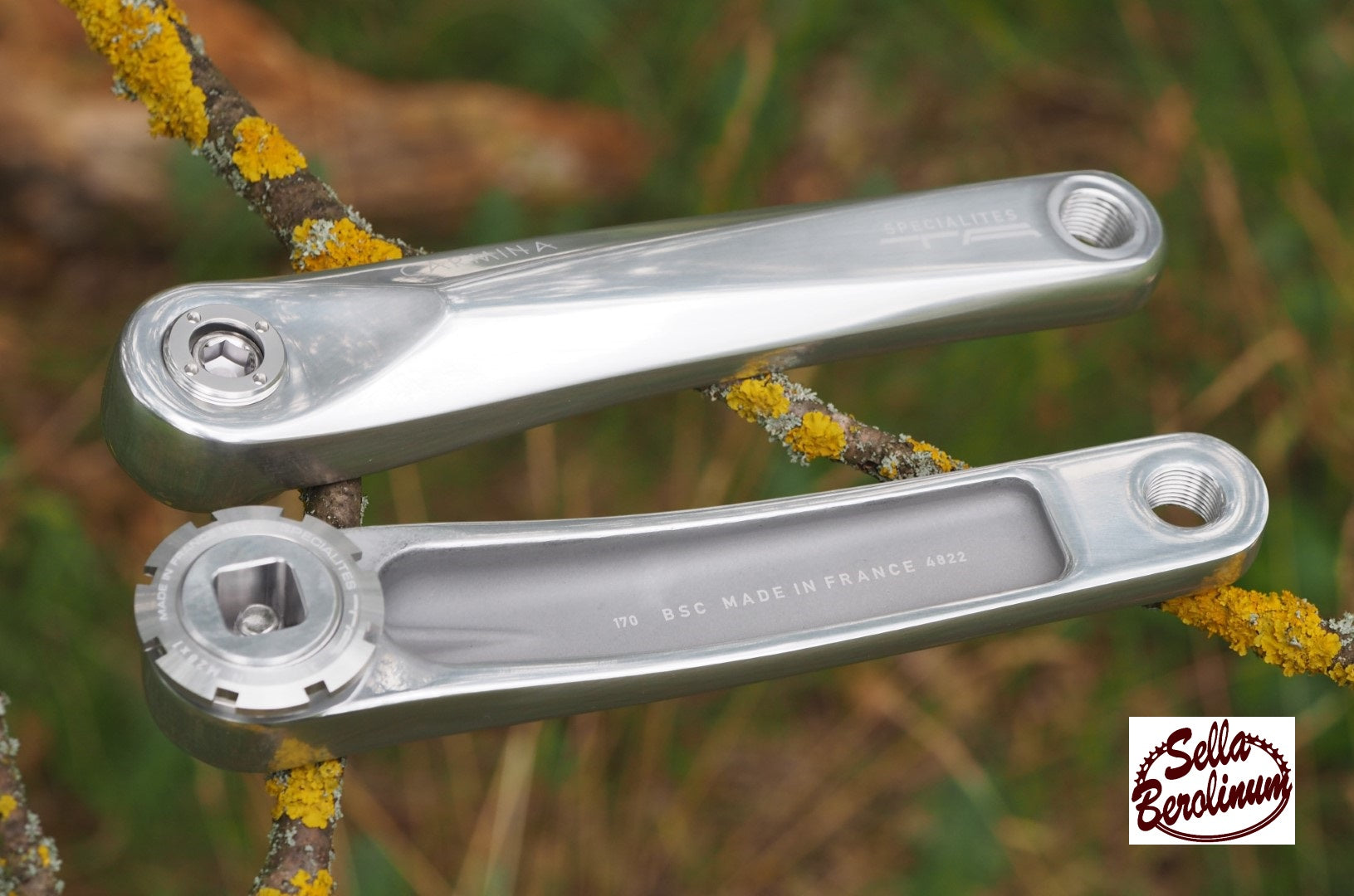 Spécialités TA Carmina Kurbelarme 165–175 mm, poliert – Produktansicht 2 von 4