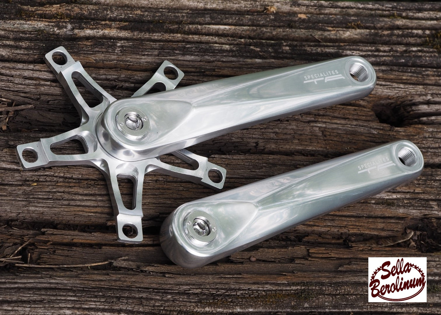 Specialites TA Carmina incl. Spider LK:130 mm Silber poliert