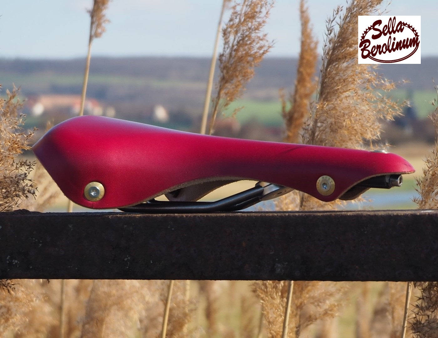 Berthoud Galibier Leder / Titan Rennsattel "Edition Special Rot"
