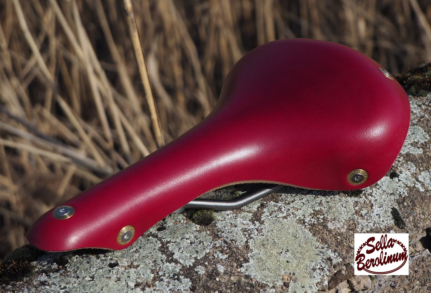 Berthoud Galibier Leder / Titan Rennsattel "Edition Special Rot"