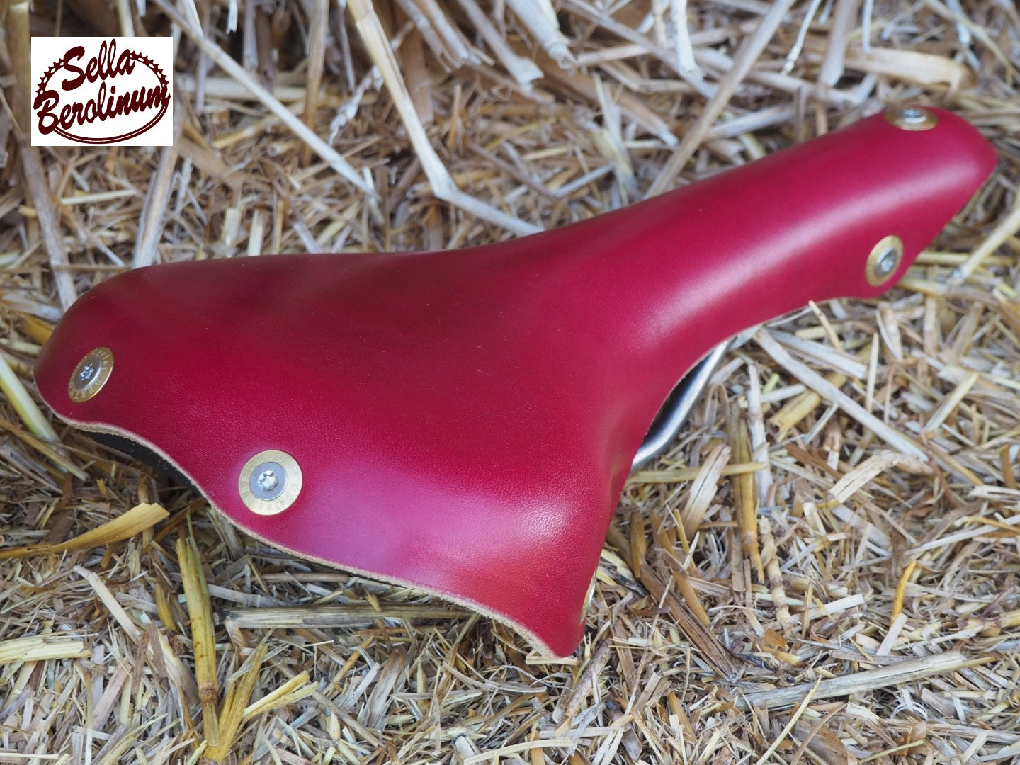 Berthoud Galibier Leder / Titan Rennsattel "Edition Special Rot"