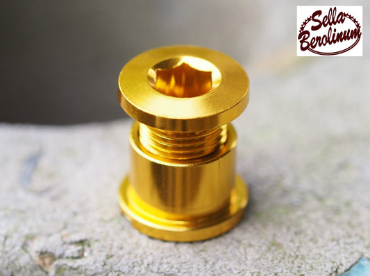 Alu Kettenblatt Schrauben 5er Set für 1 fach Blätter Gold Ø 9,9mm