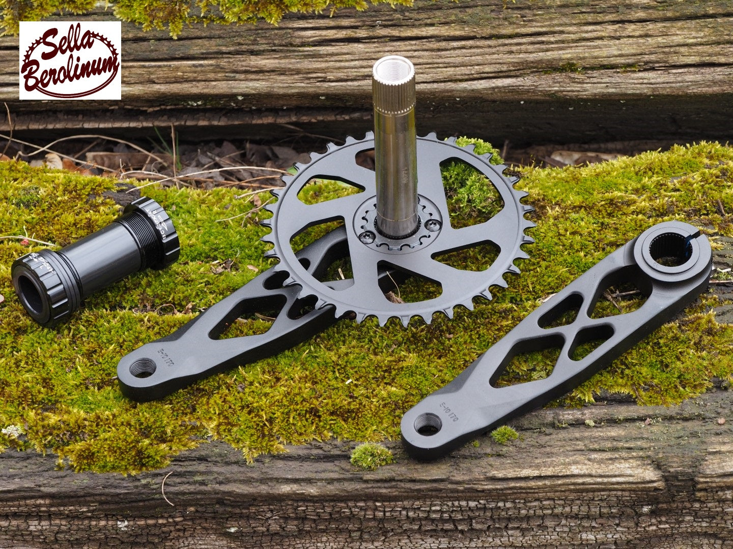 38 Z Skelet Kurbelgarnitur 170 mm, Schwarz / Ø24 mm Achse