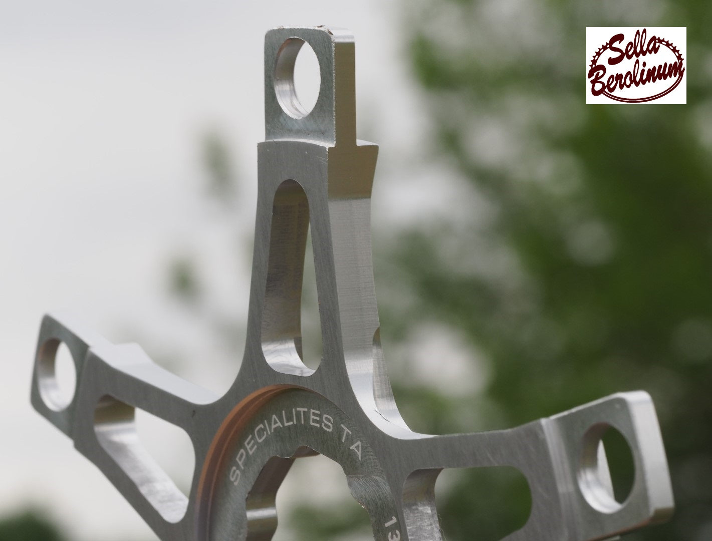 46T Carmina Spider Crankset 170mm Silver
