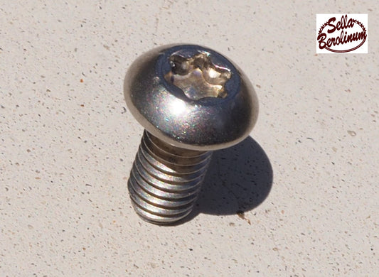 Flachrundschraube mit TX - M5x10 mm A2 Edelstahl-10 Stück